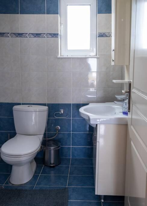 Nefeli Apartment Chania ハニア エクステリア 写真